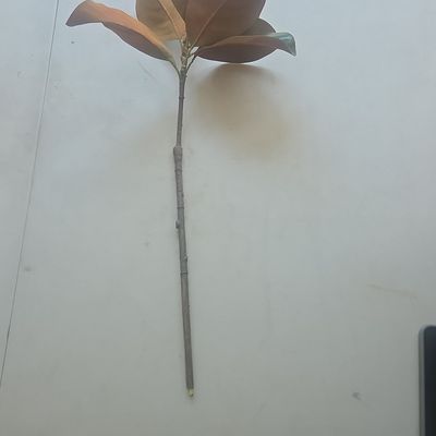 Sale Photo Thumbnail #843: Artificial Magnolia Leaf 