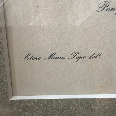 Sale Photo Thumbnail #474: Clara Maria Pope, Pompone or Kew Blush Camellia Botanical Print
