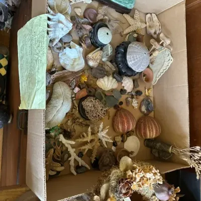 Sale Photo Thumbnail #54