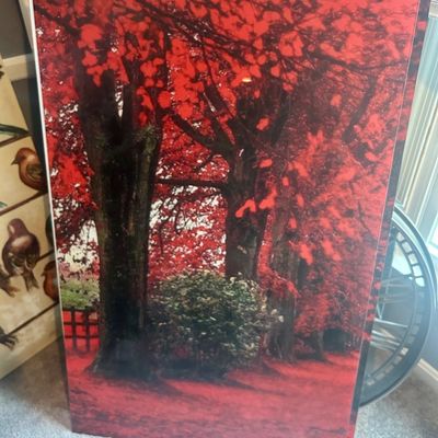 Sale Photo Thumbnail #93