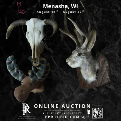 Sale Photo Thumbnail #49
