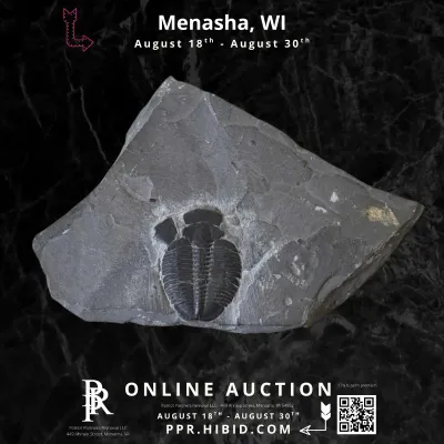 Sale Photo Thumbnail #12
