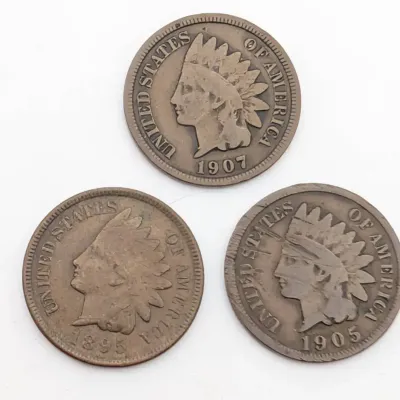 Sale Photo Thumbnail #115: Three Indian Head Pennies | 1895 | 1905 | 1907