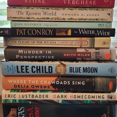 12 Fiction Books Hard And Softcover