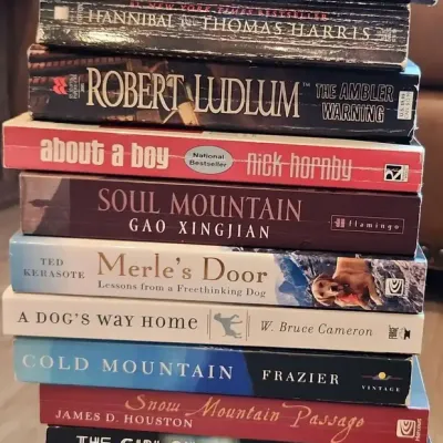 17 Fiction Soft Cover Novels Various Authors 