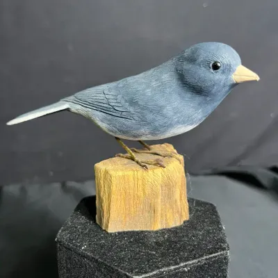 Slate Colored Junco By D. Larson #3 
