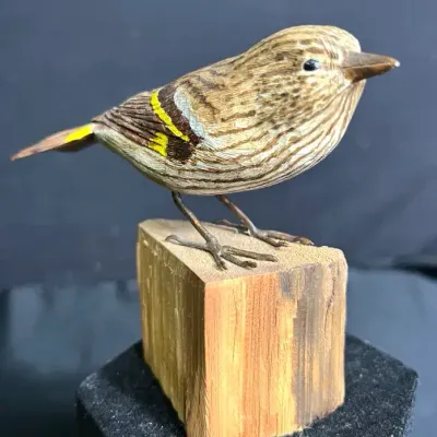 Pine Siskin By D. Larson #6