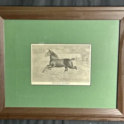 Antique Lou Burk “Lord Kingsbury” Hackney Stallion Equestrian Print