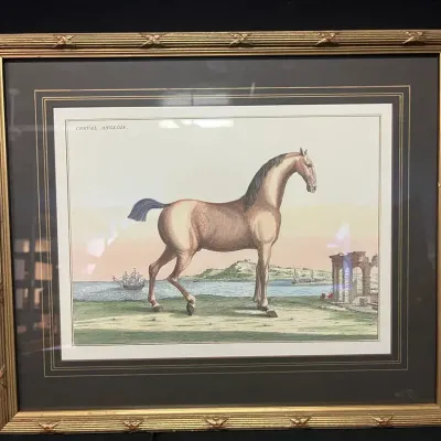 “Cheval Anglois” Equestrian Print After Baron d’Eisenberg

