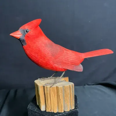 Red Cardinal By D. Larson #2