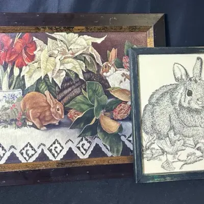 Framed Rabbit Art Prints- Joanne Evans And D. Owens