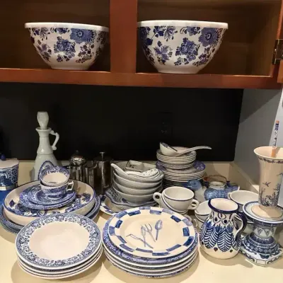 Blue And White Dish Collection