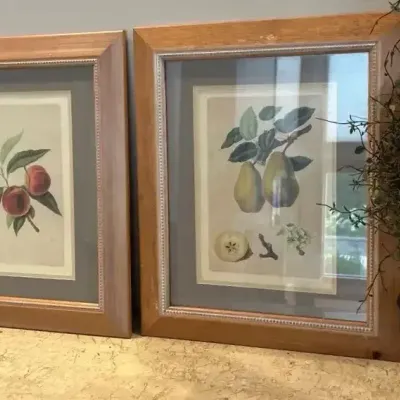 Fruit Framed Art with Topiary 