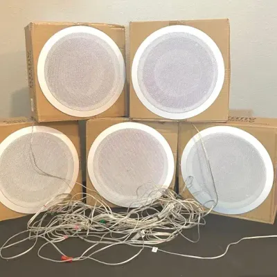 CI513 Acoustic Audio Speakers