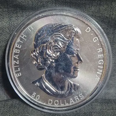 2017 Canada 50 Dollar 10oz Silver Coin