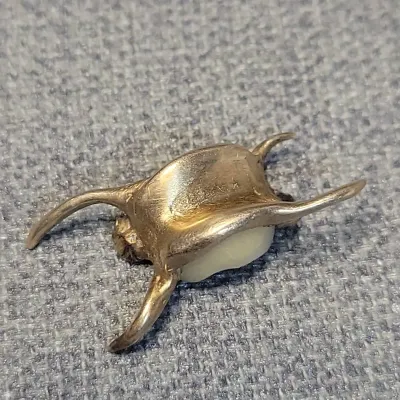 Gold Tooth