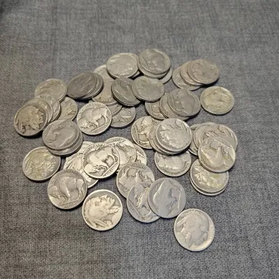 US Buffalo Nickels (50)
