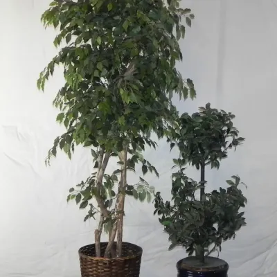 Artificial Trees