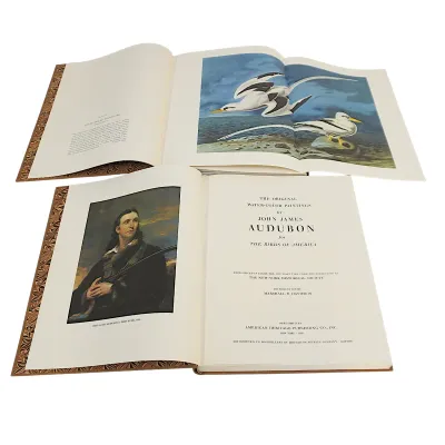 Sale Photo Thumbnail #80: THE ORIGINAL WATERCOLOR PAINTINGS OF JOHN JAMES AUDUBON FOR BIRDS OF AMERICA IN TWO VOLUMES