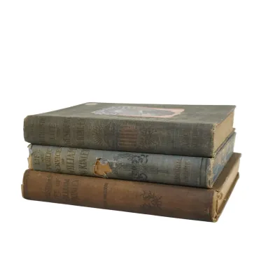 Sale Photo Thumbnail #309: 3 ANTIQUE VOLUMES OF WILLIAM MCKINLEY BIOGRAPHIES