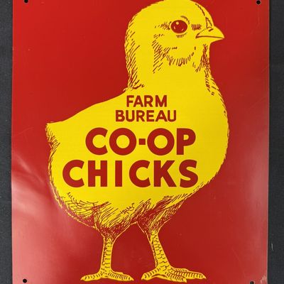 Sale Photo Thumbnail #344: Farm Bureau CO-OP Chicks SST Tin Painted Metal Farm Sign