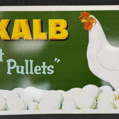 Sale Photo Thumbnail #478: Dekalb Profit Pullets SST Painted Metal Chicken Farm Sign