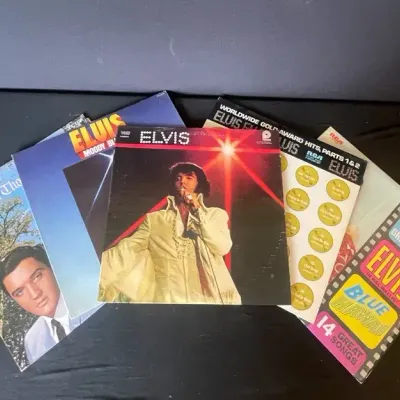 Elvis Presley Vinyl Record Collection