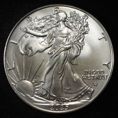 Sale Photo Thumbnail #114: 2025 AMERICAN SILVER EAGLE