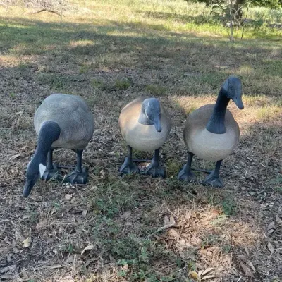 Big Foot Canada Goose Full Body Bull Decoys, Set Of Three Geese