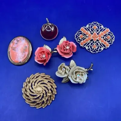 Vintage Brooches And Earrings Some Sarah Coventry
