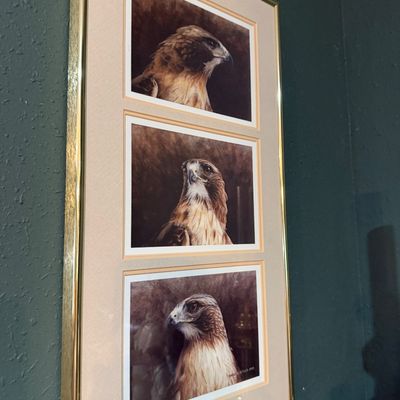 Sale Photo Thumbnail #53