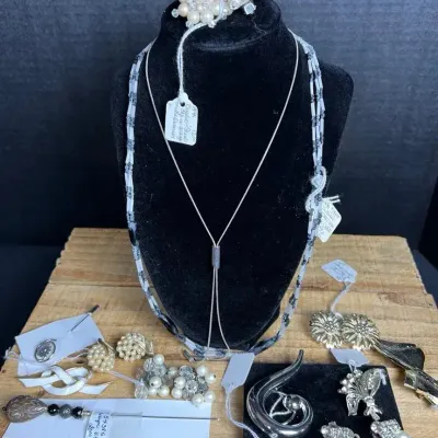 Vintage Faux Pearl & Silver-Tone Jewelry Lot - Bolo Necklace, Brooches, 10+ Pcs