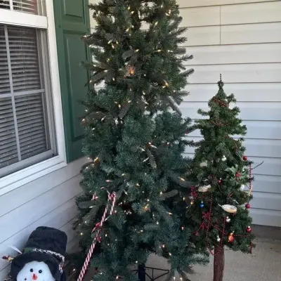 Christmas Trees And More 
