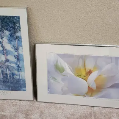 Framed Prints: Monet "Poplars" & Barbara Bordnick "Tulipa White" 