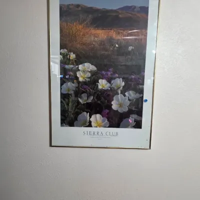 Sale Photo Thumbnail #58