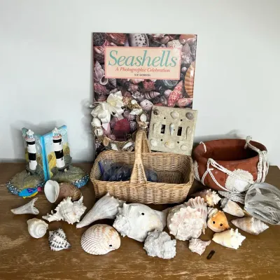 Seashell Book, Decor And More