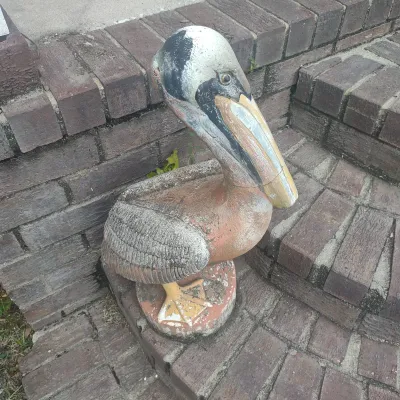 Concrete Pelican