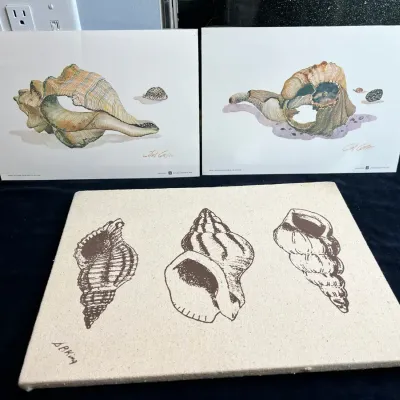 Seashell Art By Clint Carter & S.B. King