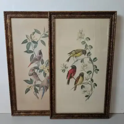Vintage Bird Prints 