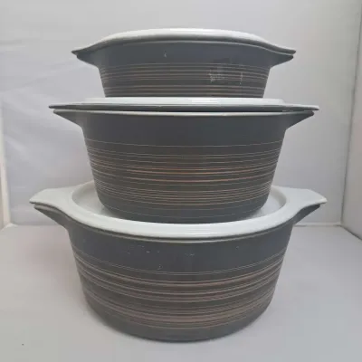 Pyrex Terra Stacking Casserole Dishes 