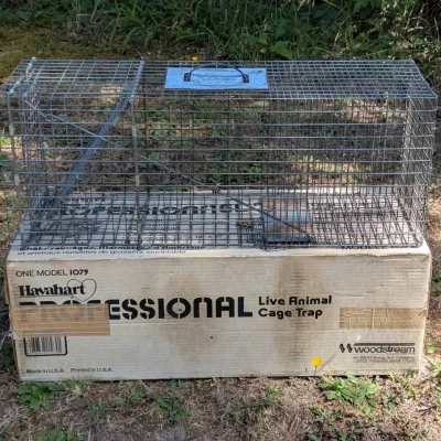 Live Animal Traps 