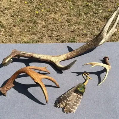 Antlers and Turkey Feathers 