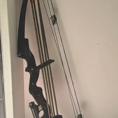 Compound Bow Using Round Wheel-Style Cams