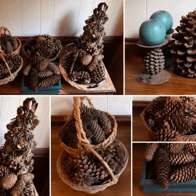 Pinecone Decor 