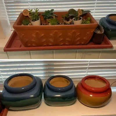 Faux Succulents, Glazed Ceramic African Violet Pots, & More