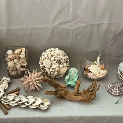 Shell Decor
