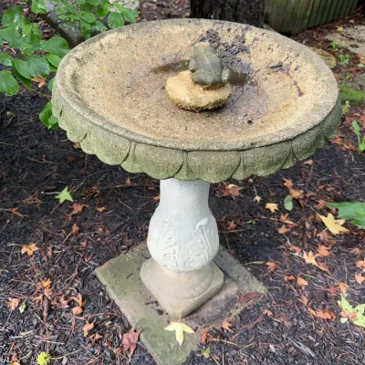 Sale Photo Thumbnail #25