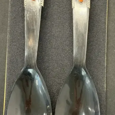 Decorative Serving Spoon & Fork Set with Orange Floral Accents – Framed Display