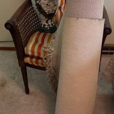 Wicker Chair, Chinese Art Deco Plush Pile Wool Rug