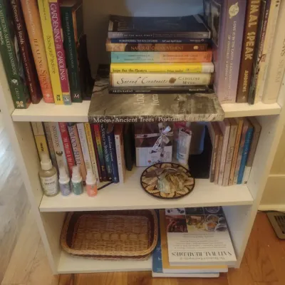Sale Photo Thumbnail #857: Collection of Non-Fiction Books (Books Only)